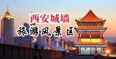 强奸潮吹中国陕西-西安城墙旅游风景区